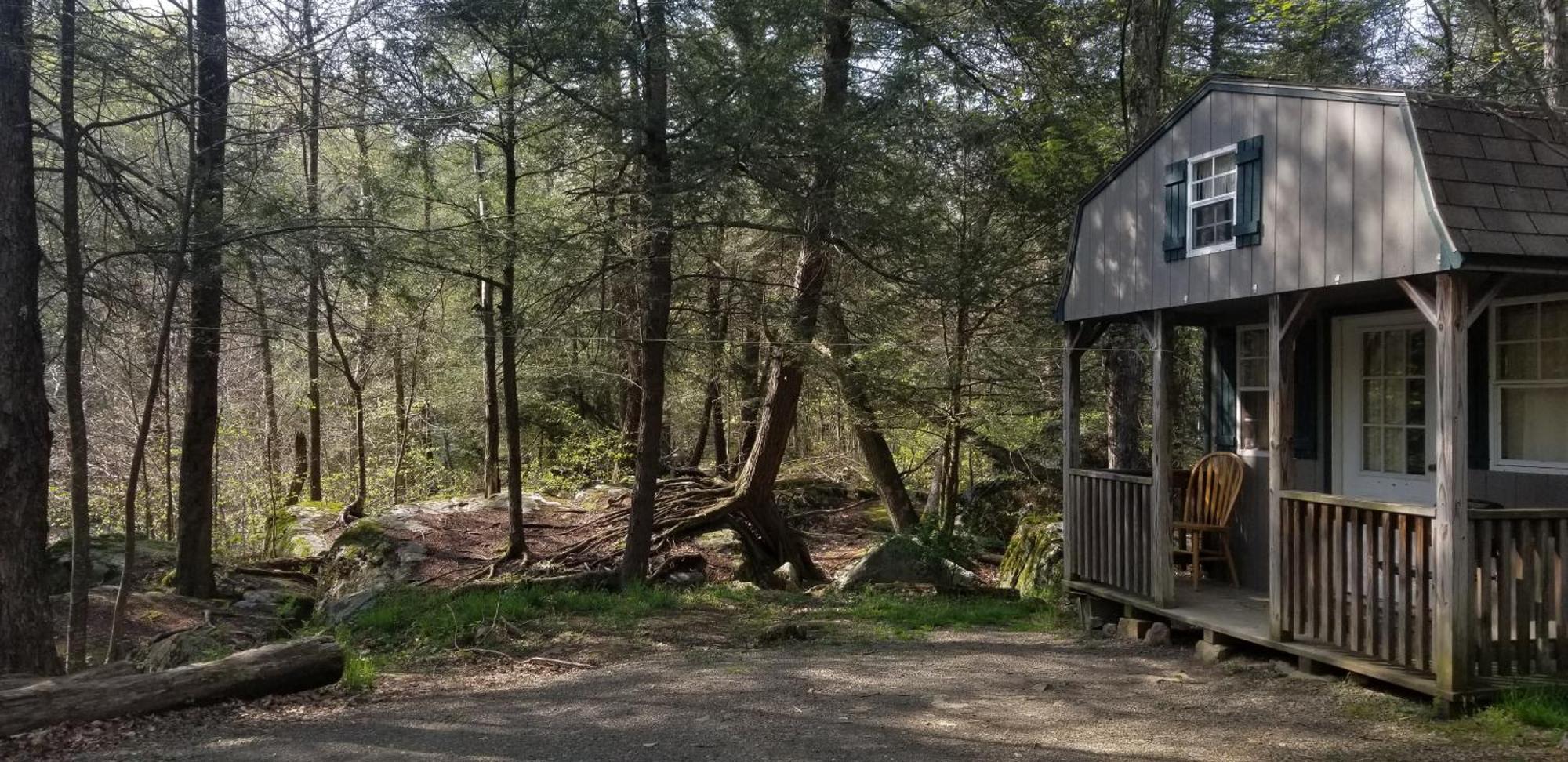 Abrams Creek Campground Mount Storm Екстер'єр фото