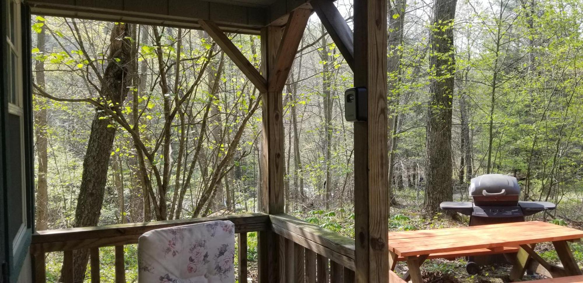 Abrams Creek Campground Mount Storm Екстер'єр фото