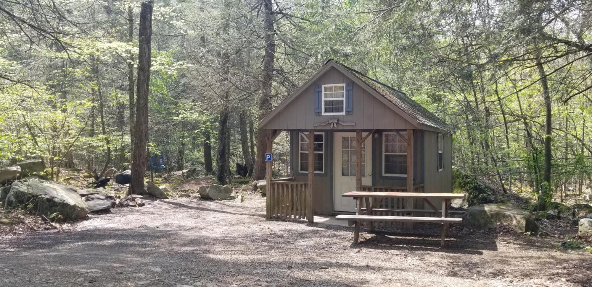 Abrams Creek Campground Mount Storm Екстер'єр фото