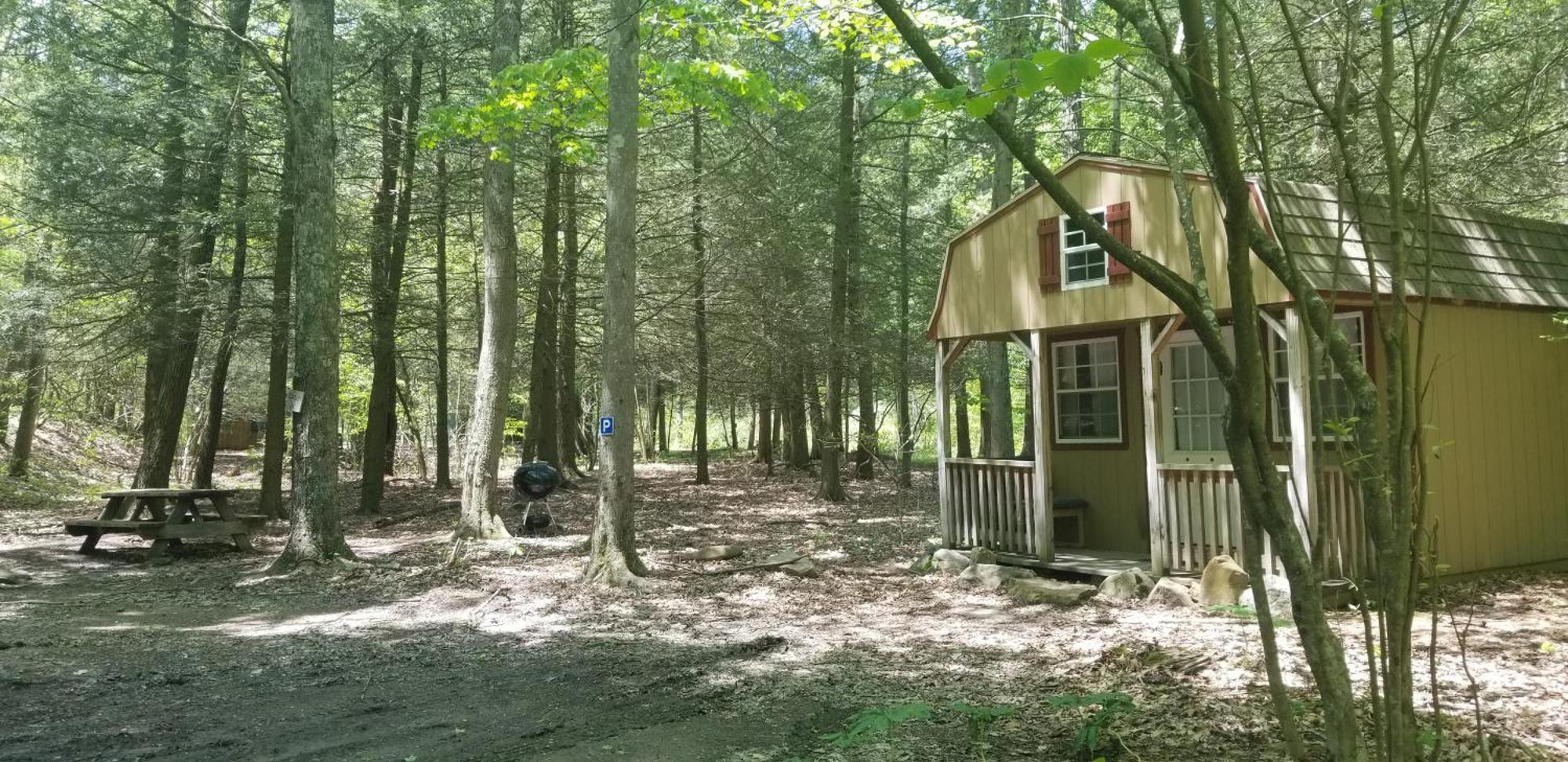 Abrams Creek Campground Mount Storm Екстер'єр фото