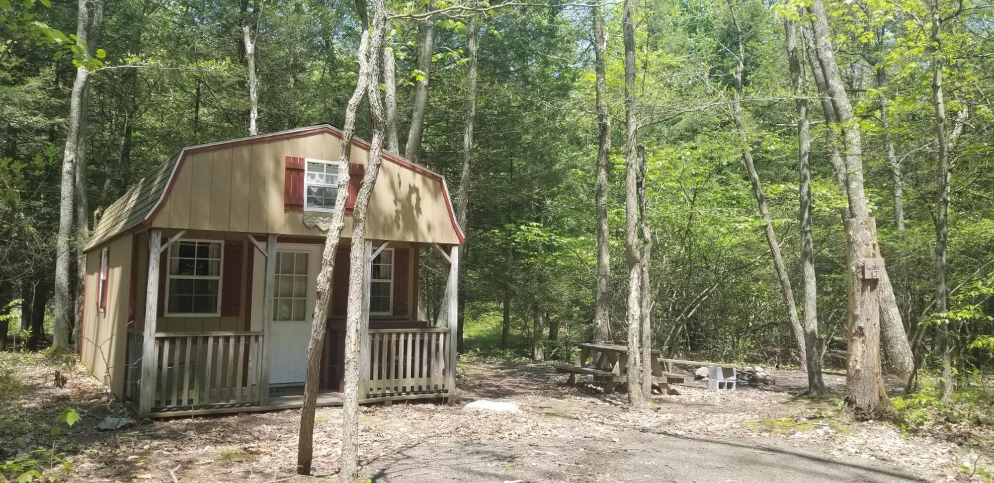 Abrams Creek Campground Mount Storm Екстер'єр фото