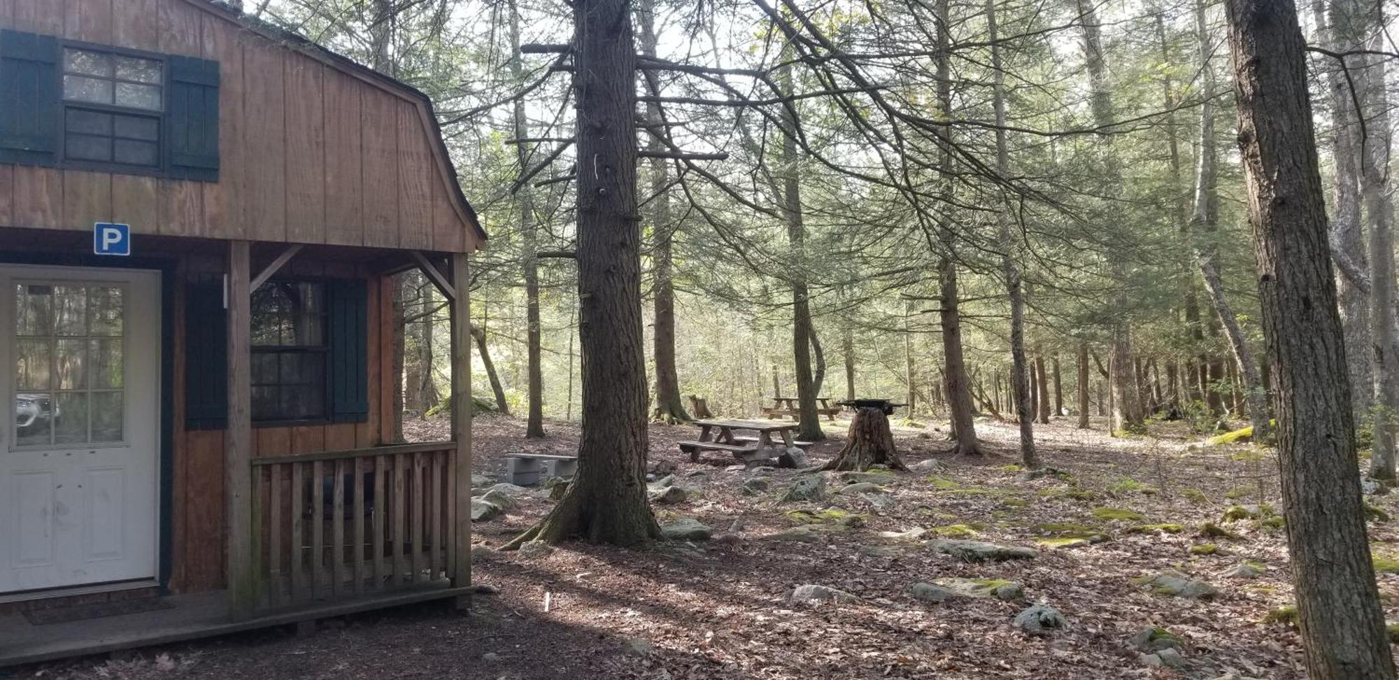 Abrams Creek Campground Mount Storm Екстер'єр фото