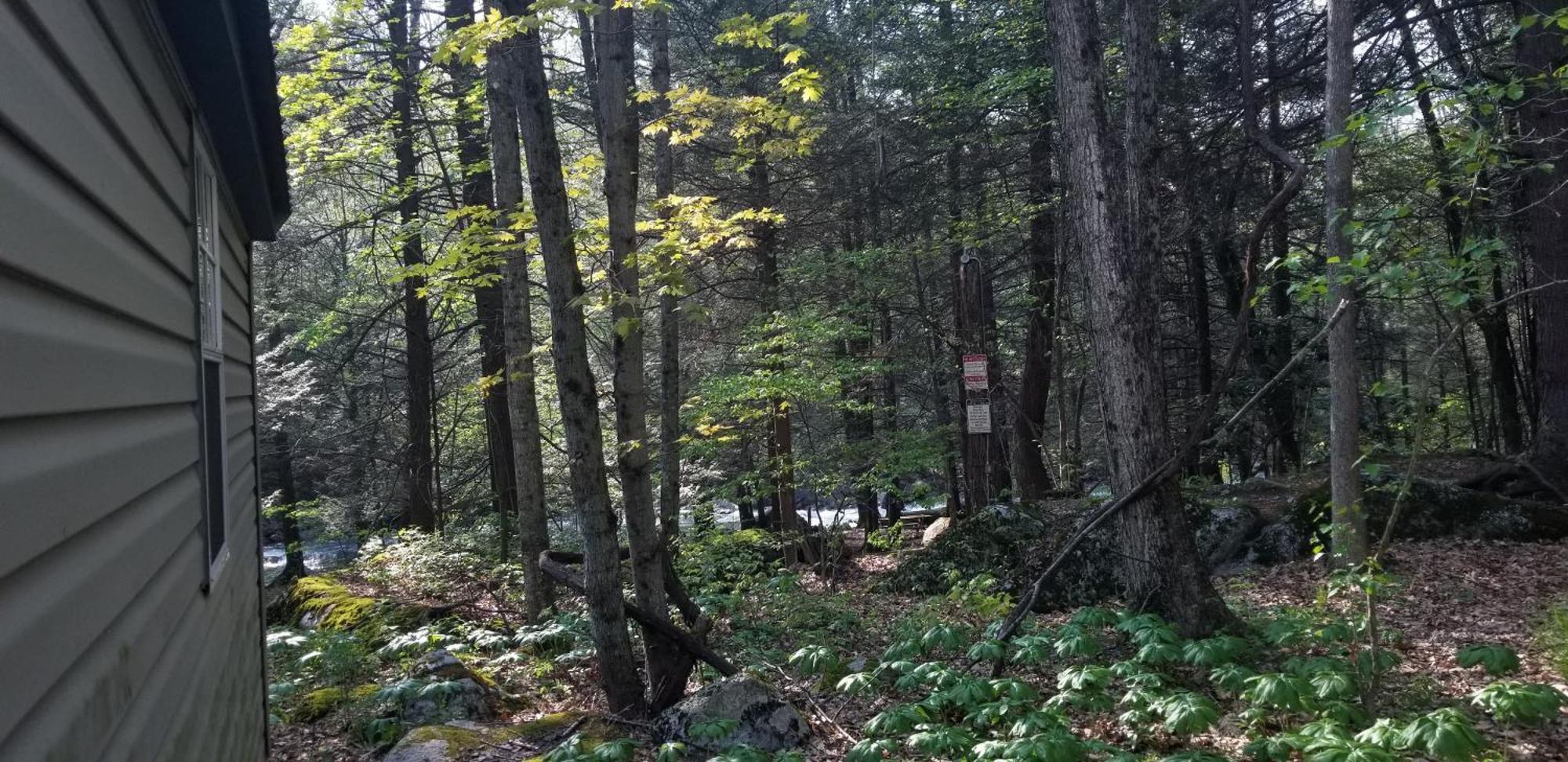 Abrams Creek Campground Mount Storm Екстер'єр фото