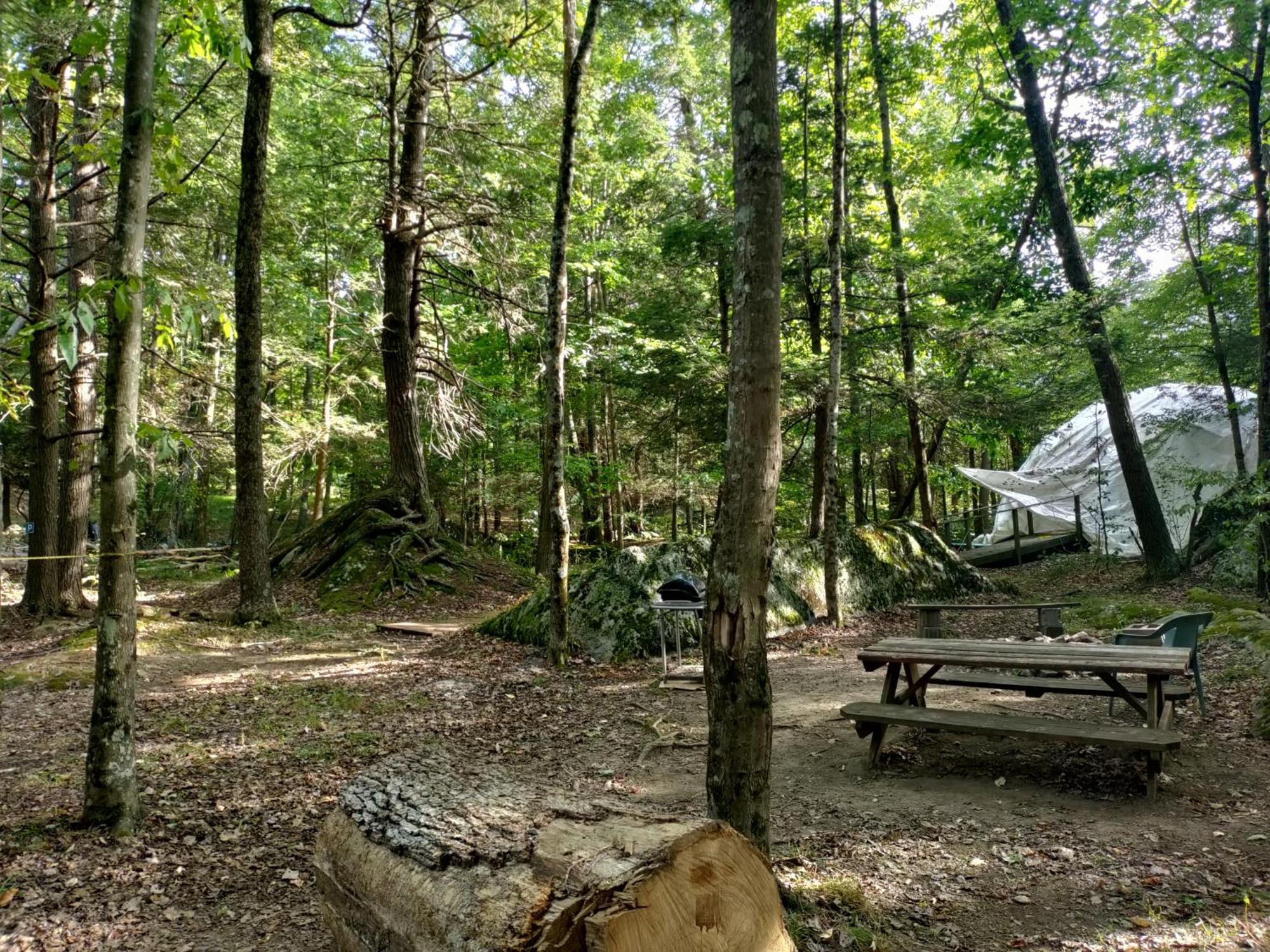 Abrams Creek Campground Mount Storm Екстер'єр фото