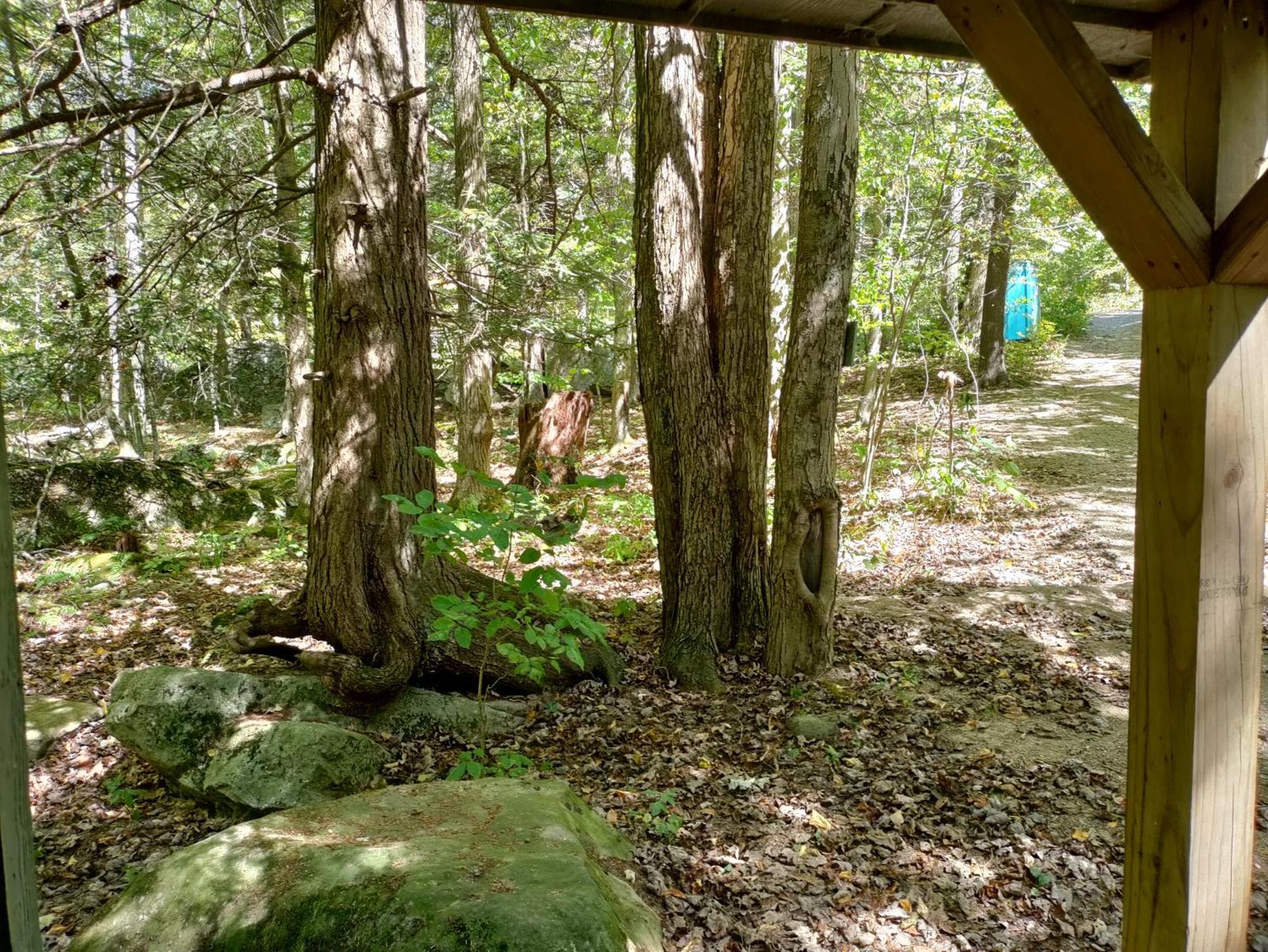 Abrams Creek Campground Mount Storm Екстер'єр фото